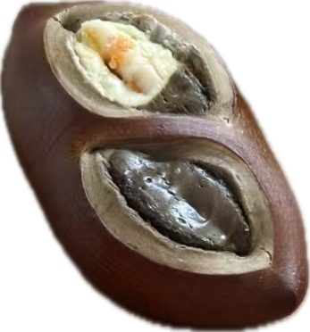 杏子焙茶双拼碱水